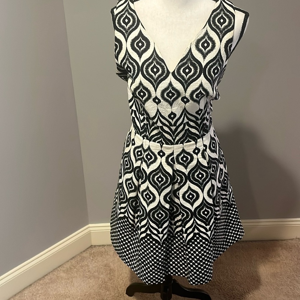 Taylor Black and White Sleeveless and Flare Mini Dress